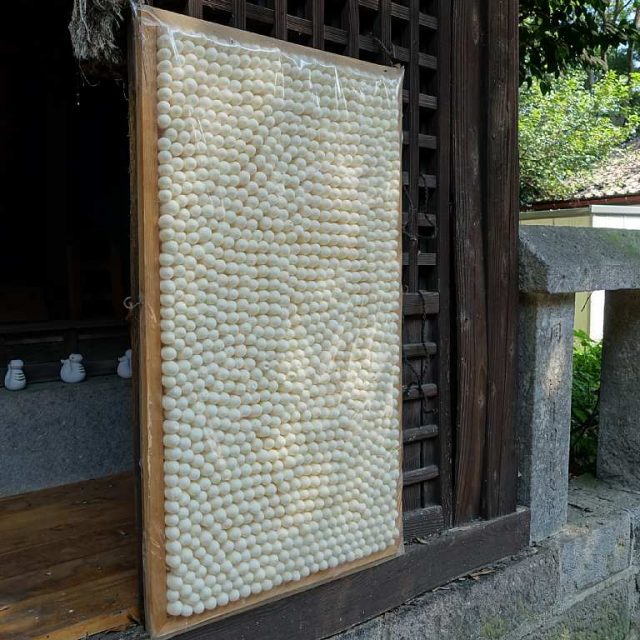 咲前神社　絹笠神社